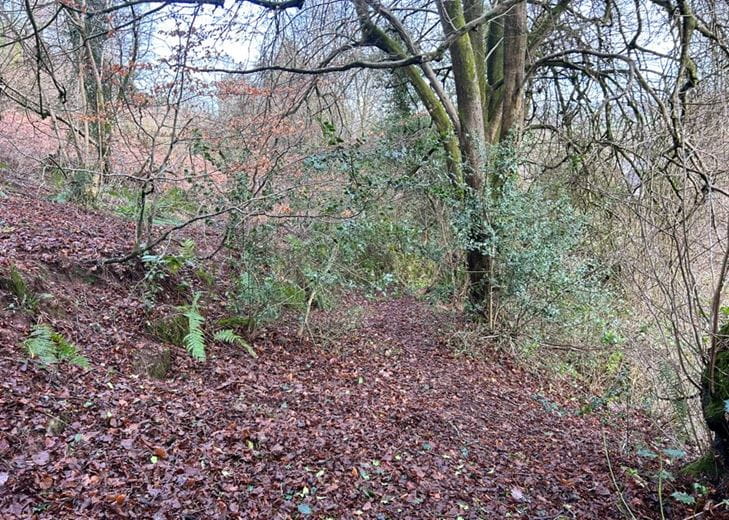 6.2 acres Land, Woodland At Mitcheldean, Mitcheldean GL17 - Available