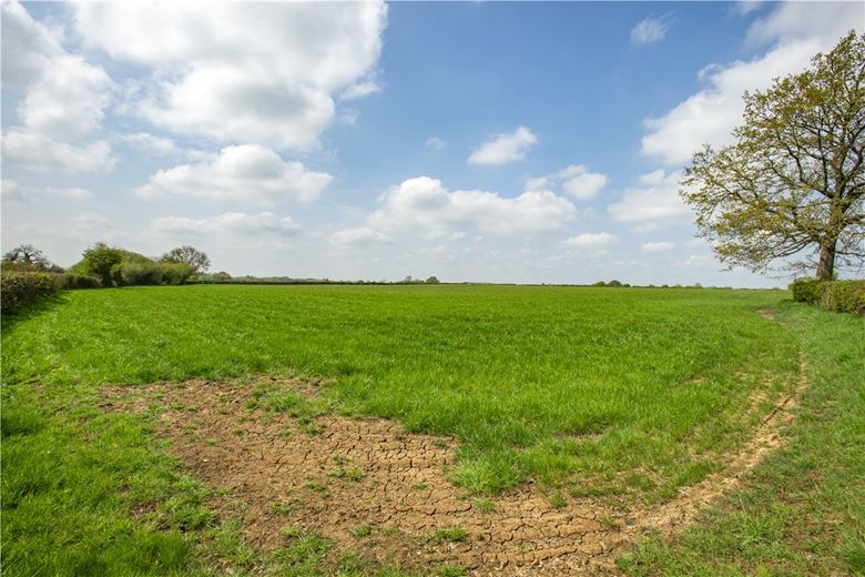31 acres Land, Land At Capps Lane, Westbury, Wiltshire, BA13 - Available
