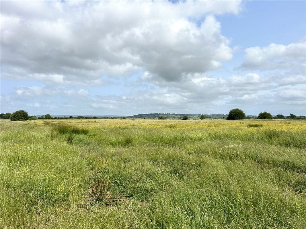 14.3 acres Land, Watchwell Drove, Glastonbury BA6 - Available