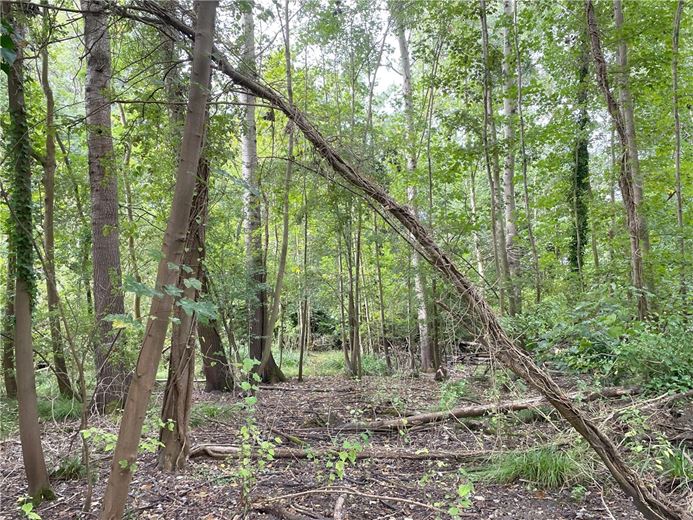 3.8 acres Land, Whittlesford, South Cambridgeshire CB22 - Available