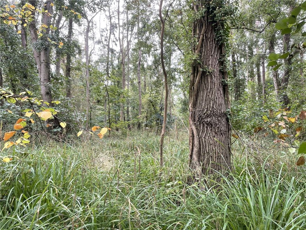 3.8 acres Land, Whittlesford, South Cambridgeshire CB22 - Available