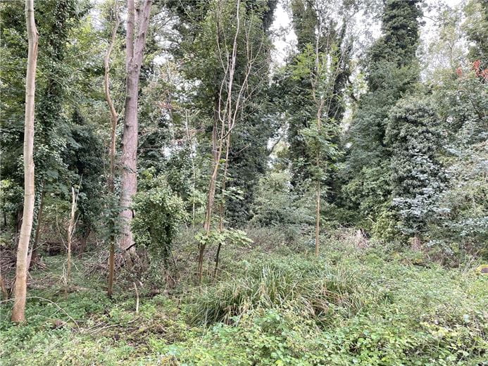 3.8 acres Land, Whittlesford, South Cambridgeshire CB22 - Available