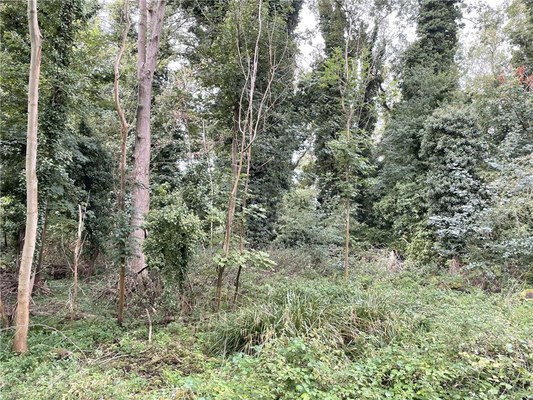 3.8 acres Land, Whittlesford, South Cambridgeshire CB22 - Available