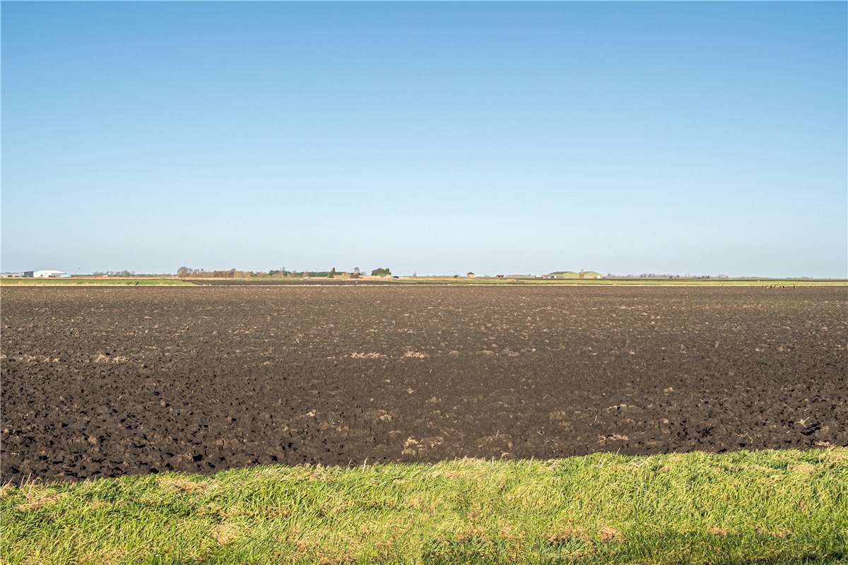 5.9 acres Land, Land At Pymoor - Lot 4, Main Drove, Little Downham CB6 - Available