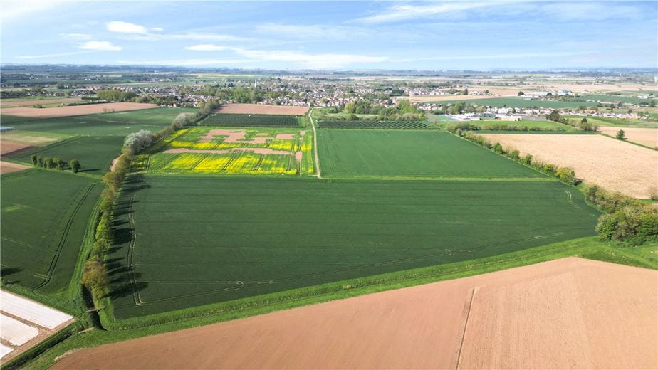 5.8 acres Land, Lot 4 - Hall Marsh Farm, Long Sutton PE12 - Sold