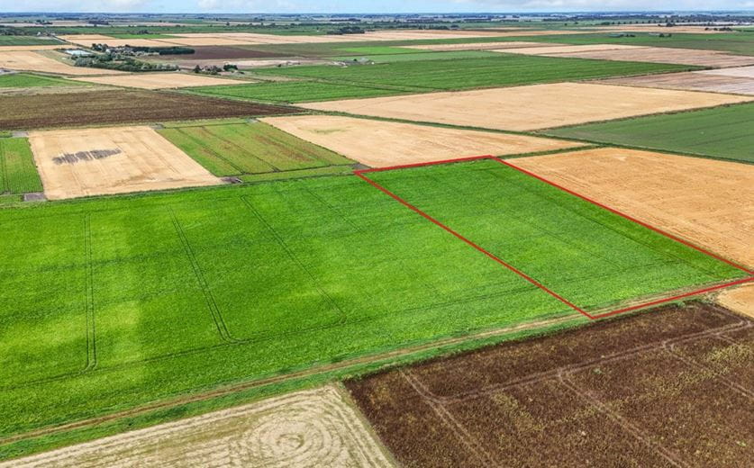 6.6 acres Land, Little Downham, Ely CB6 - Available
