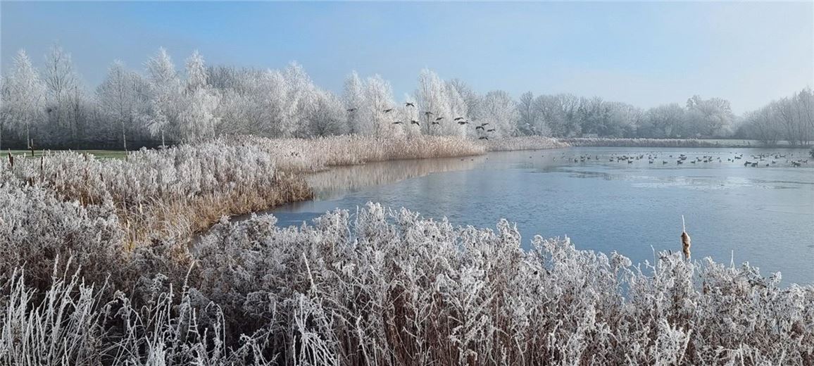  House, Wyton, Huntingdon PE28 - Available