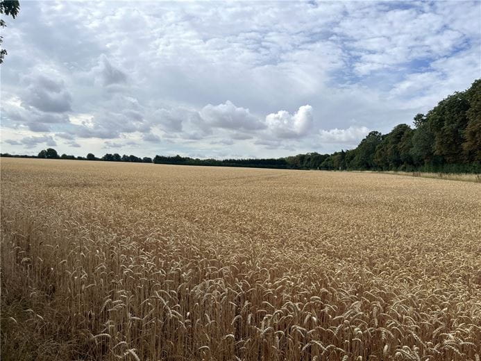 53.9 acres Land, Land Lying To The East Of B1061 Road, Dullingham CB8 - Available