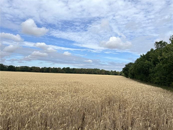 53.9 acres Land, Land Lying To The East Of B1061 Road, Dullingham CB8 - Available