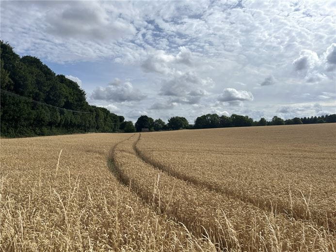 53.9 acres Land, Land Lying To The East Of B1061 Road, Dullingham CB8 - Available