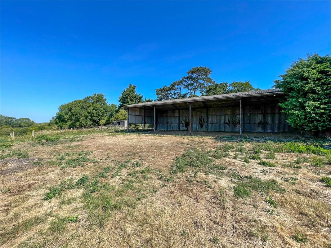 2.5 acres Land, Conger Lane, Holywell PE27 - Available