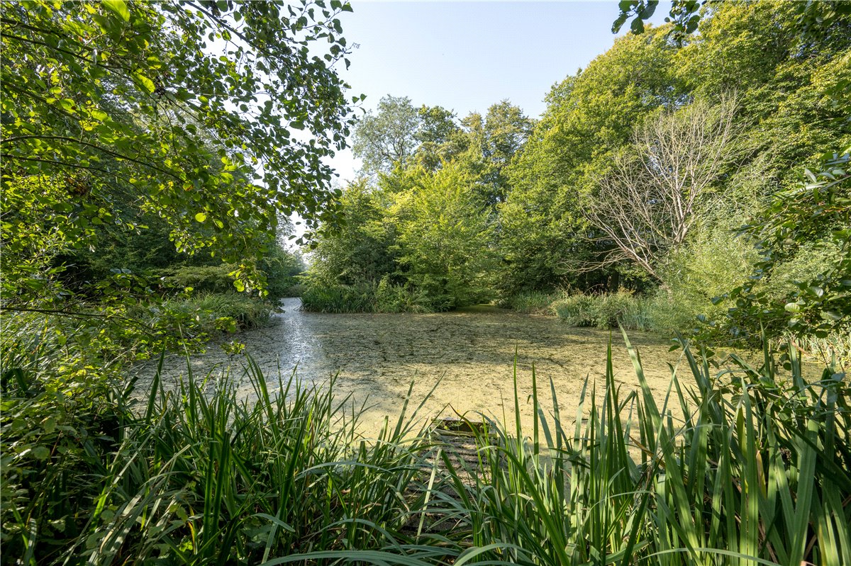 6 bedroom house, Near Bishop Monkton, North Yorkshire HG4 - Available