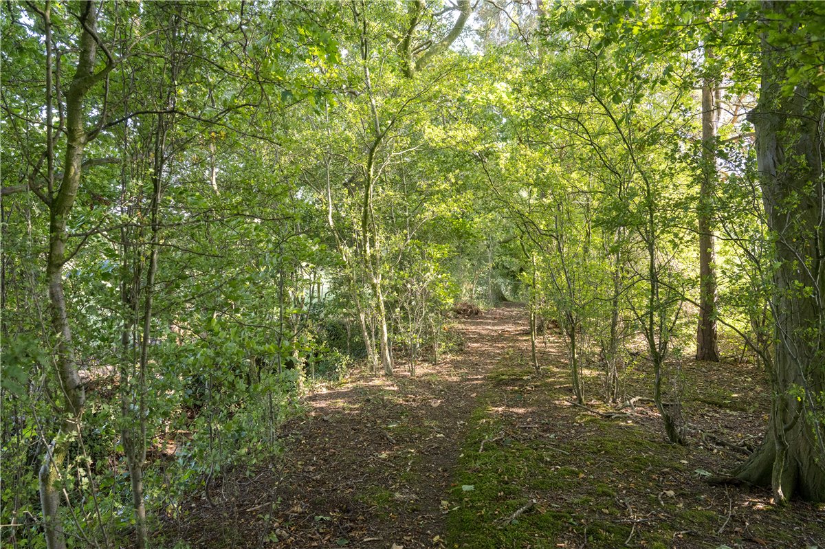 6 bedroom house, Near Bishop Monkton, North Yorkshire HG4 - Available