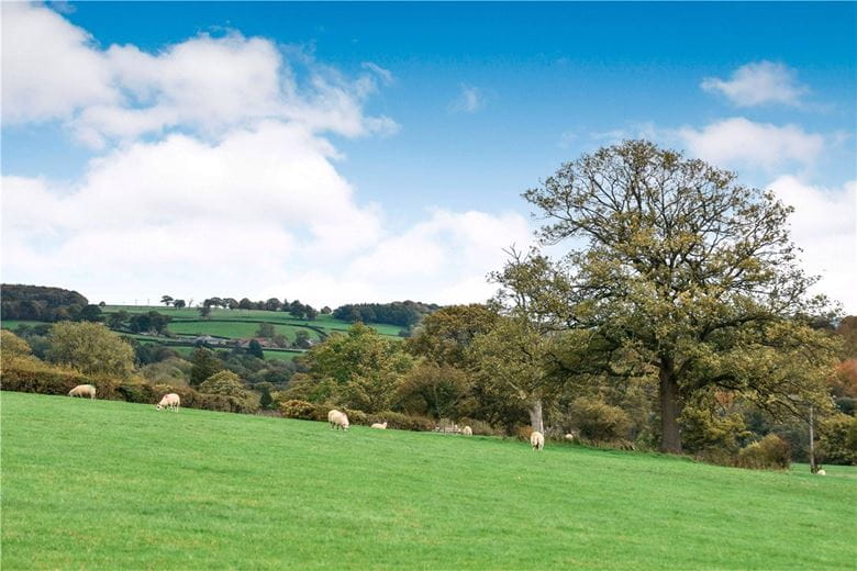 4 bedroom house, Summerbridge, Near Harrogate HG3 - Available