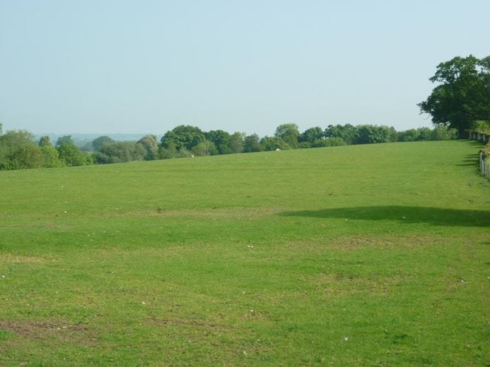 50 acres Land, Brough Park, Richmond DL10 - Sold
