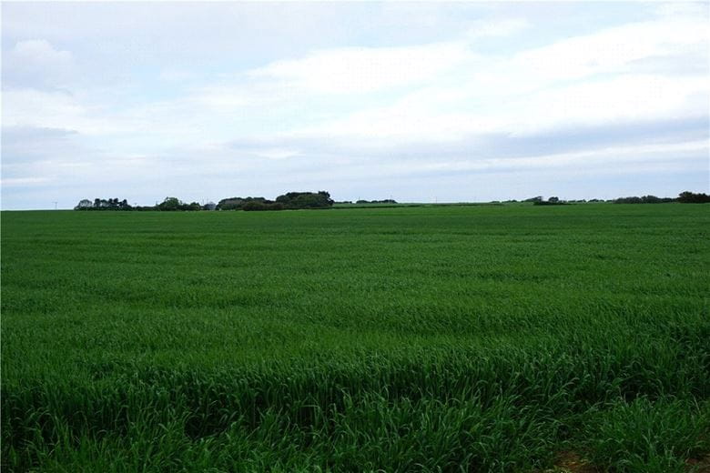  Land, Rimswell, Withernsea HU19 - Under Offer