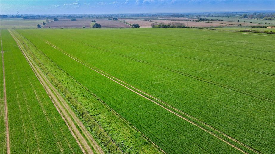  Land, Lot 1 - Land At Beeford and Foston, Driffield YO25 - Available