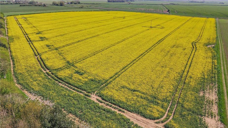  Land, Lot 2 - Land At Beeford and Foston, Driffield YO25 - Sold STC