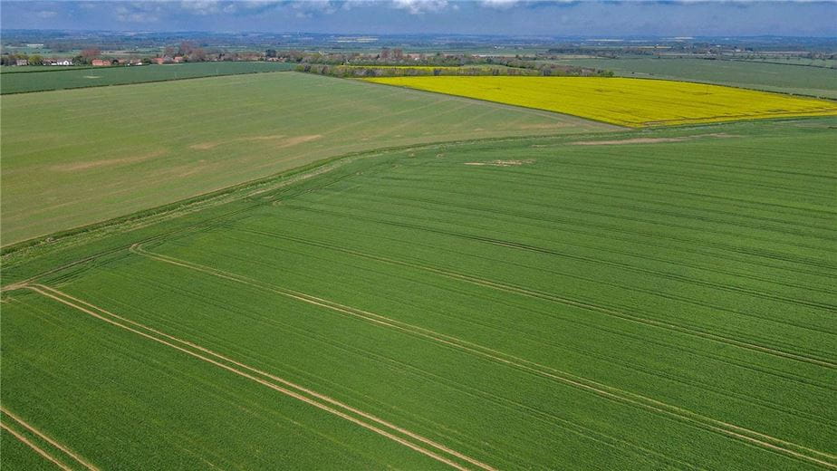  Land, Lot 2 - Land At Beeford and Foston, Driffield YO25 - Available