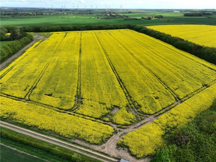  Land, Lot 2 - Land At Beeford and Foston, Driffield YO25 - Available