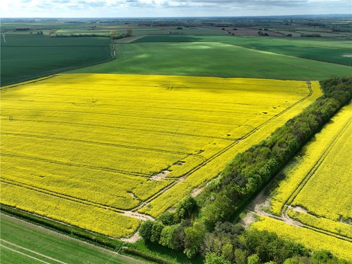  Land, Lot 2 - Land At Beeford and Foston, Driffield YO25 - Available