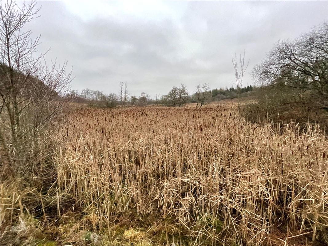  Land, Felton, Morpeth NE65 - Available