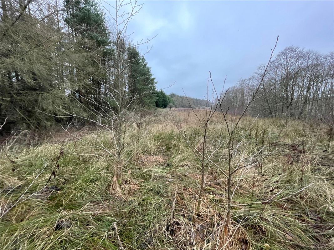  Land, Felton, Morpeth NE65 - Available