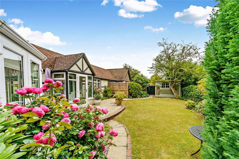 2 bedroom bungalow, Ridgeway Close, Hermitage RG18 - Available