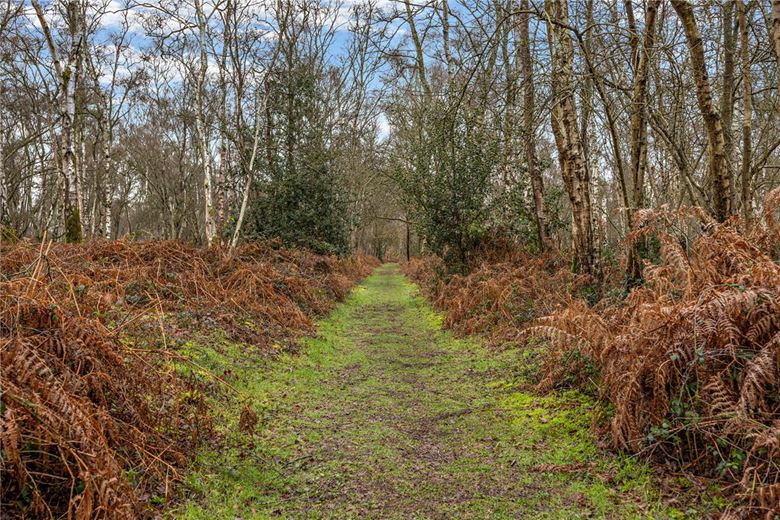 5 bedroom house, Thornford Road, Crookham Common RG19 - Available