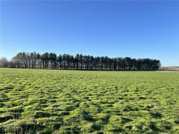 25.1 acres Land, Fognam Farm, Upper Lambourn RG17 - Under Offer