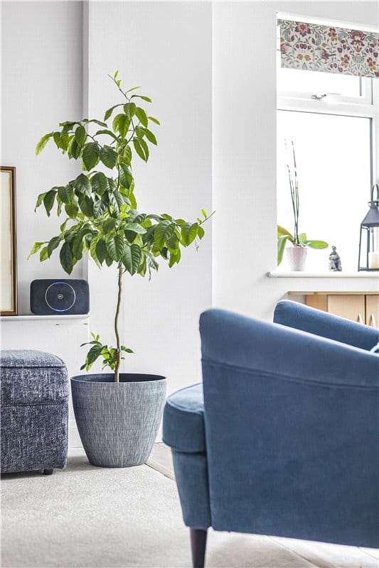 4 bedroom house, Bellamy Close, Southmoor OX13 - Sold