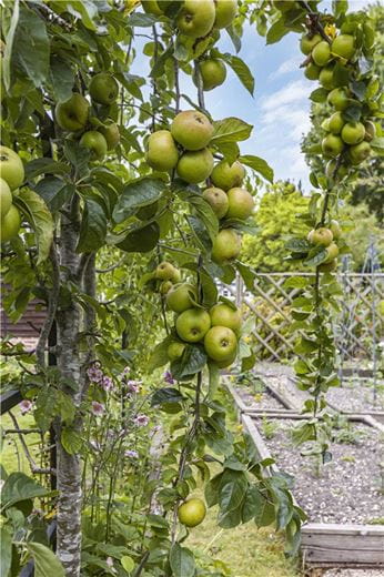 4 bedroom house, The Causeway, Steventon OX13 - Sold