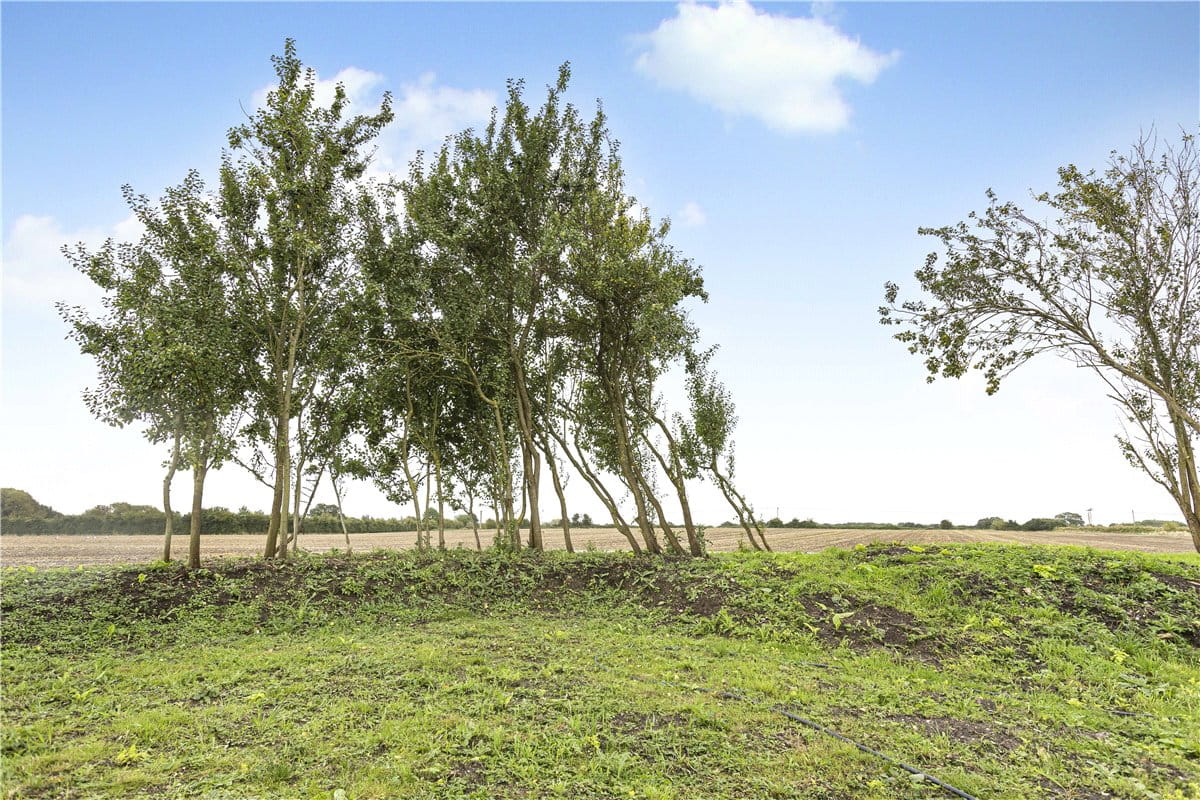 2 bedroom cottage, Mill Lane, Chalgrove OX44 - Available