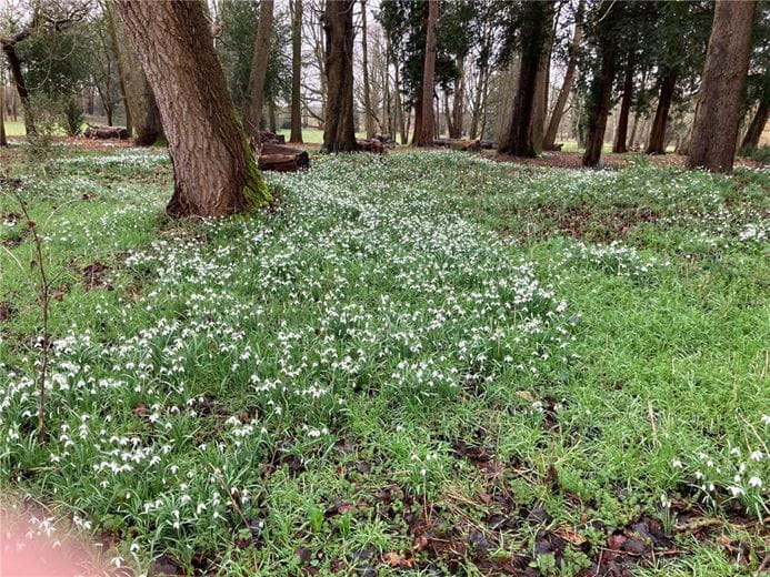 3 bedroom house, Besselsleigh, Abingdon OX13 - Available