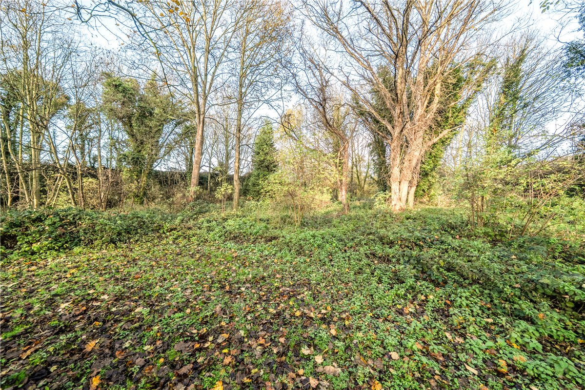3 bedroom cottage, Bannister Lane, Skelbrooke DN6 - Available