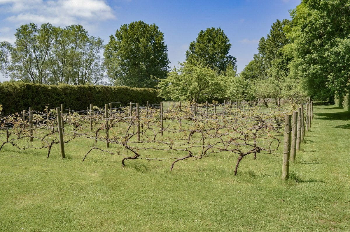 66 bedroom , Lew, Bampton OX18 - Available