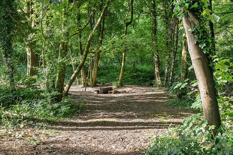 5.3 acres Land, Farleigh Rise, Monkton Farleigh BA15 - Sold STC