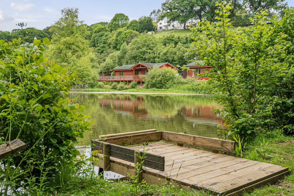 8 bedroom , Buckland Brewer, Bideford EX39 - Available