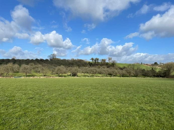 24.5 acres Land, Pilton, Shepton Mallet BA4 - Sold