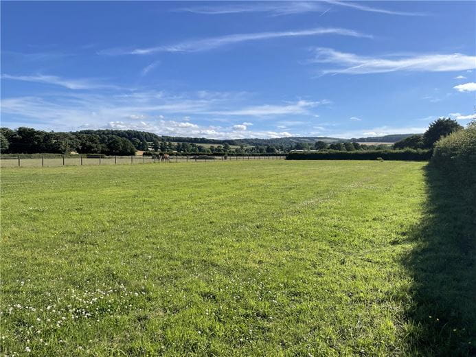 1.5 acres Land, Plum Paws Meadow, Spaxton TA5 - Under Offer