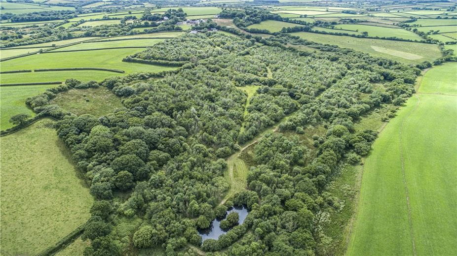 39.6 acres Land, Stow Woods, Ashmansworthy EX39 - Sold