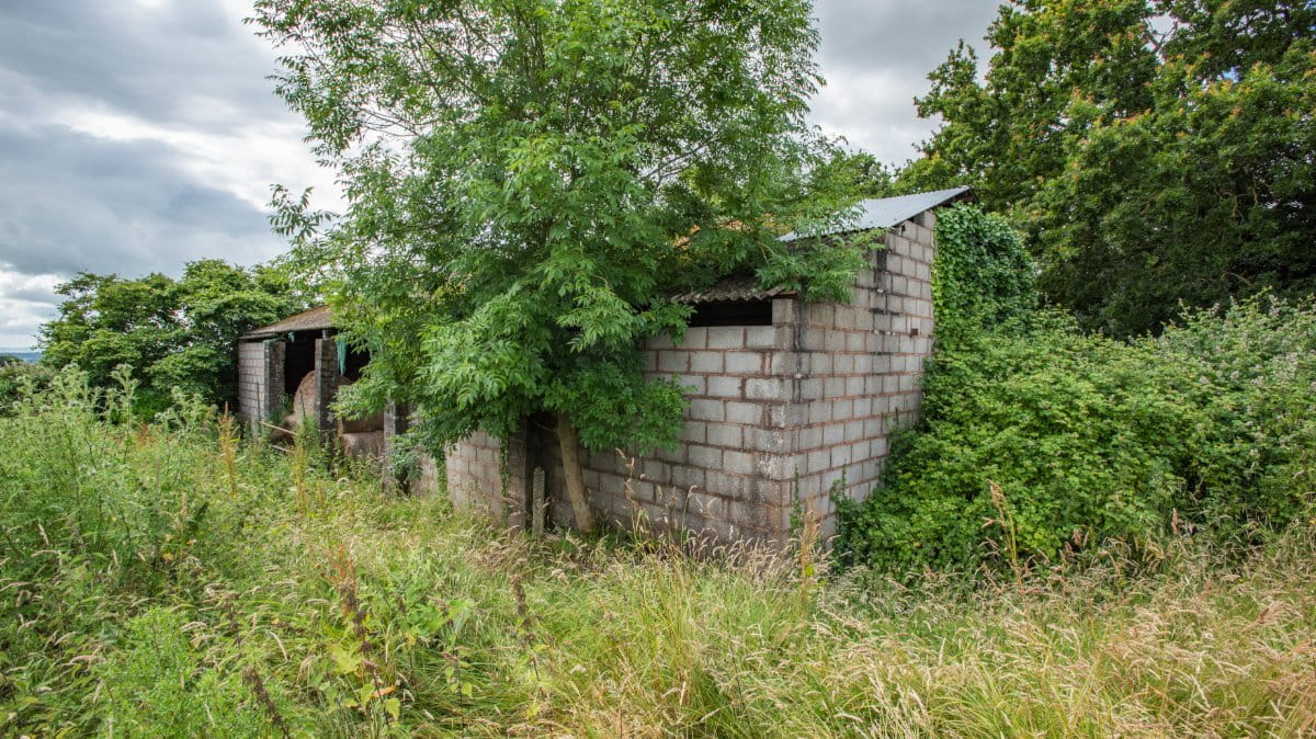 9.8 acres Land, Greenway Farm, Thurloxton TA2 - Available