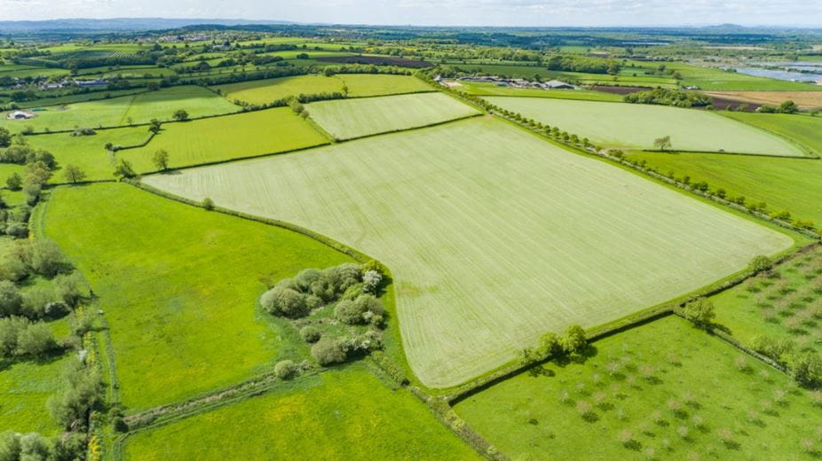 64.6 acres Land, Lot 1: Land At Abbots Sharpham, Glastonbury BA16 - Available
