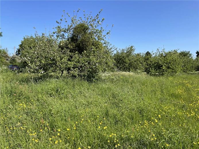 9.4 acres Land, Lot 2: Land At Stanmoor Road, Burrowbridge TA7 - Sold