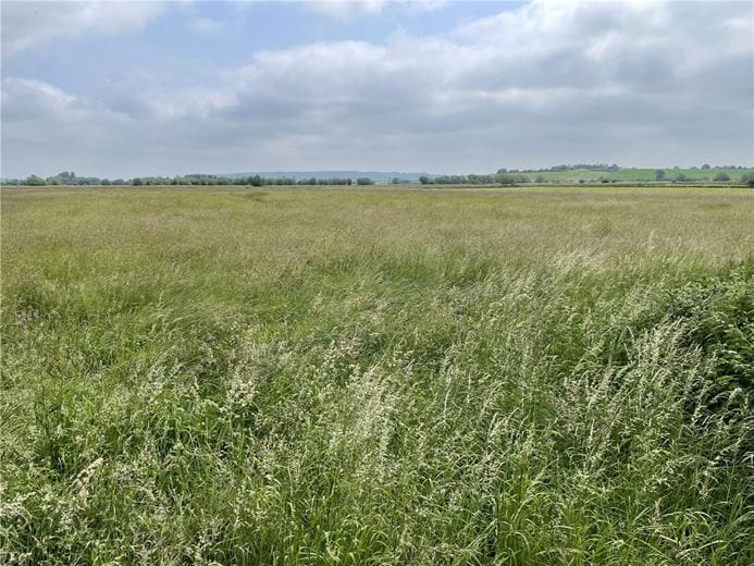 3.1 acres Land, Lot 5: Land At Stanmoor Road, Burrowbridge TA7 - Sold