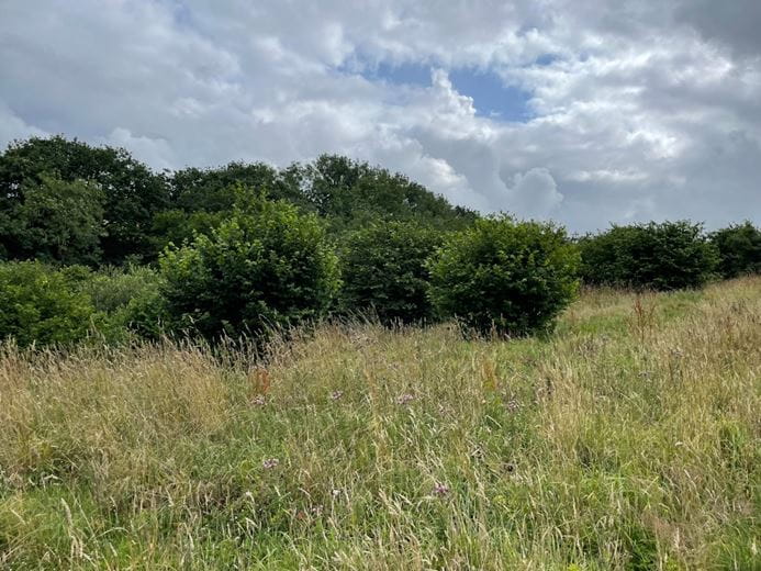 20.8 acres Land, Thornbury, Holsworthy EX22 - Sold