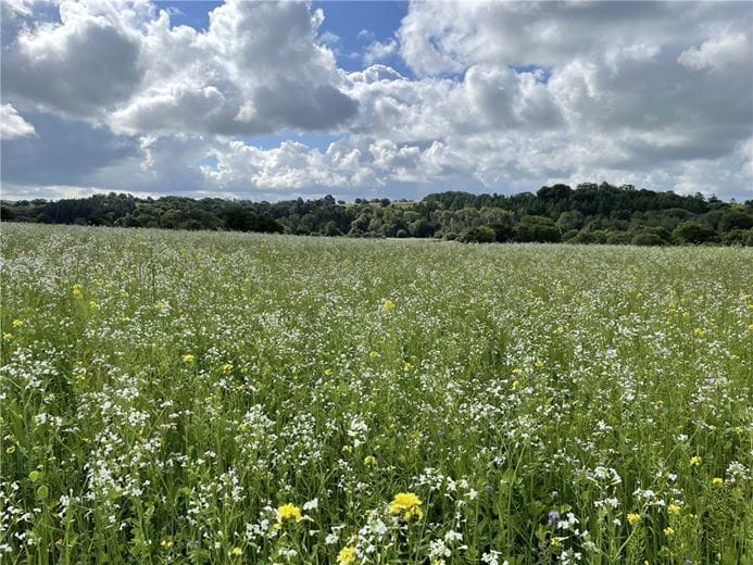 103.7 acres Land, Shebbear, Beaworthy EX21 - Sold STC