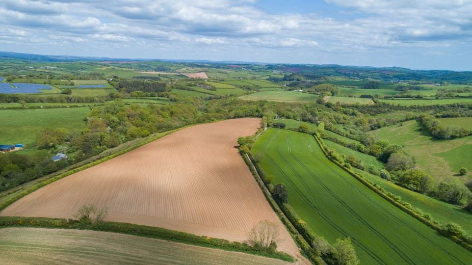 120.1 acres Land, Halwell, Totnes TQ9 - Available