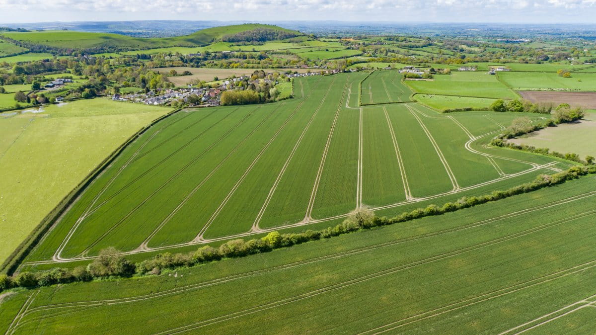 289.5 acres House, Cann, Shaftesbury SP7 - Sold