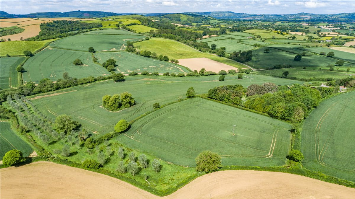 518 acres Farm, Dottery, Bridport DT6 - Sold STC